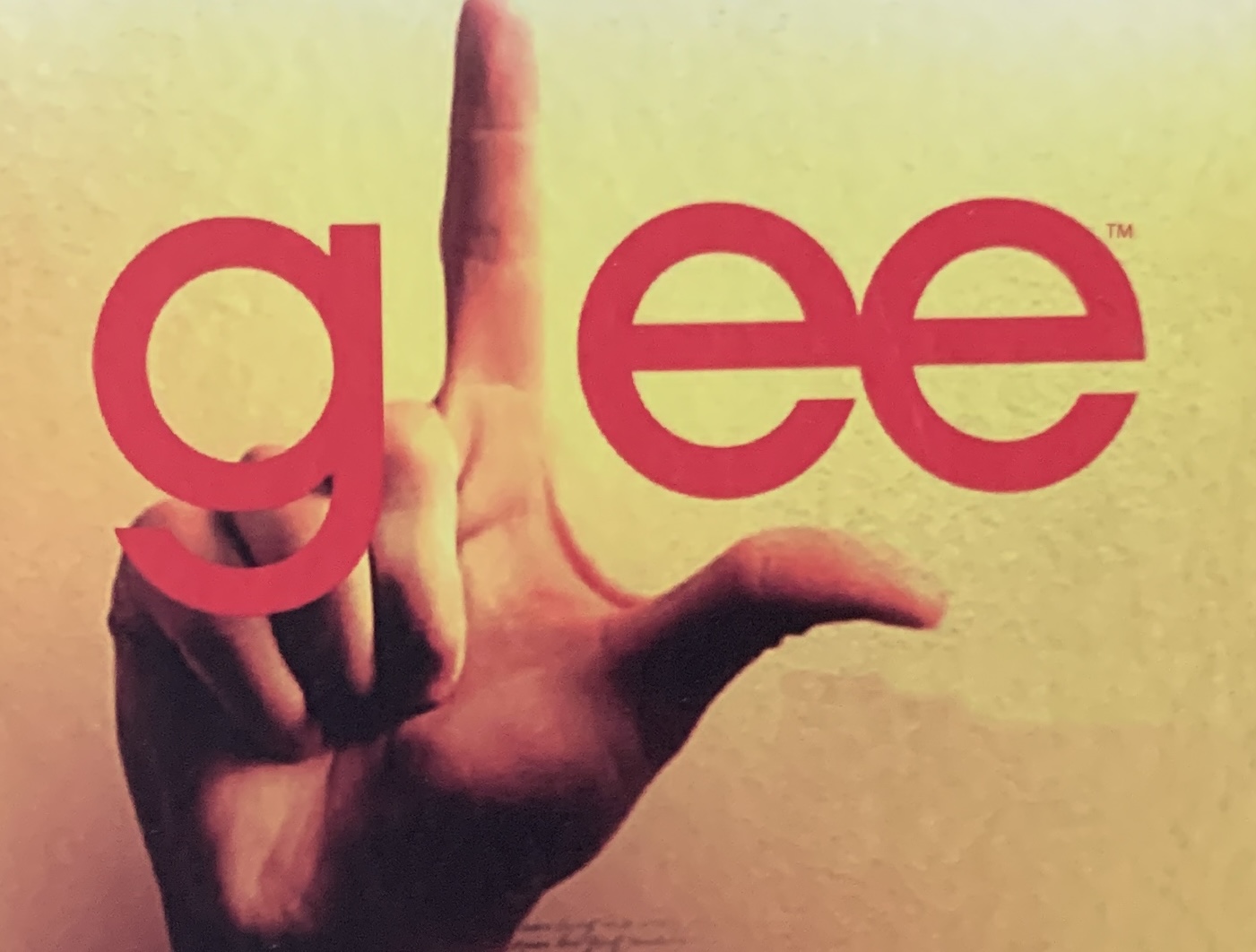 Official Glee Merch: Three Ring Binders.