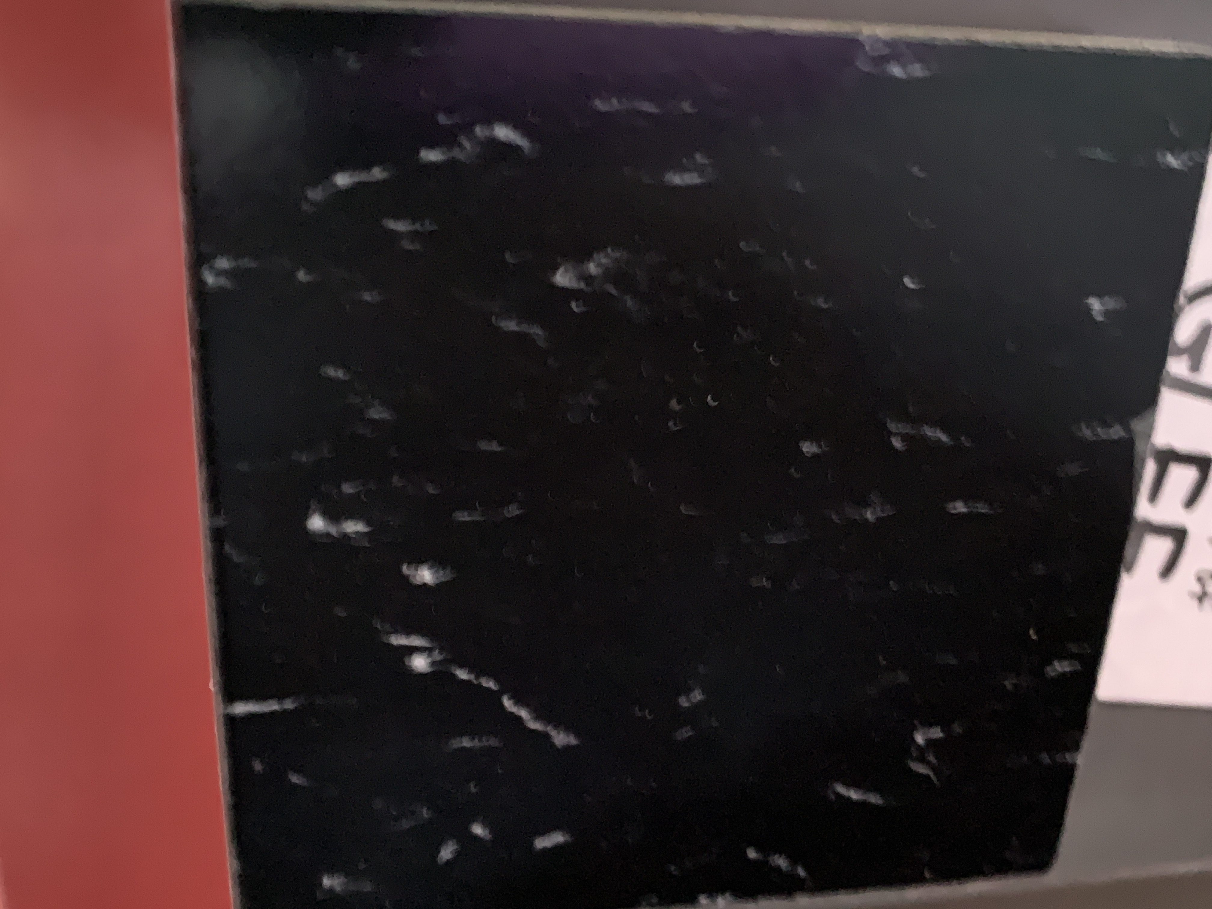 Various Seasons: Auditorium Floor.