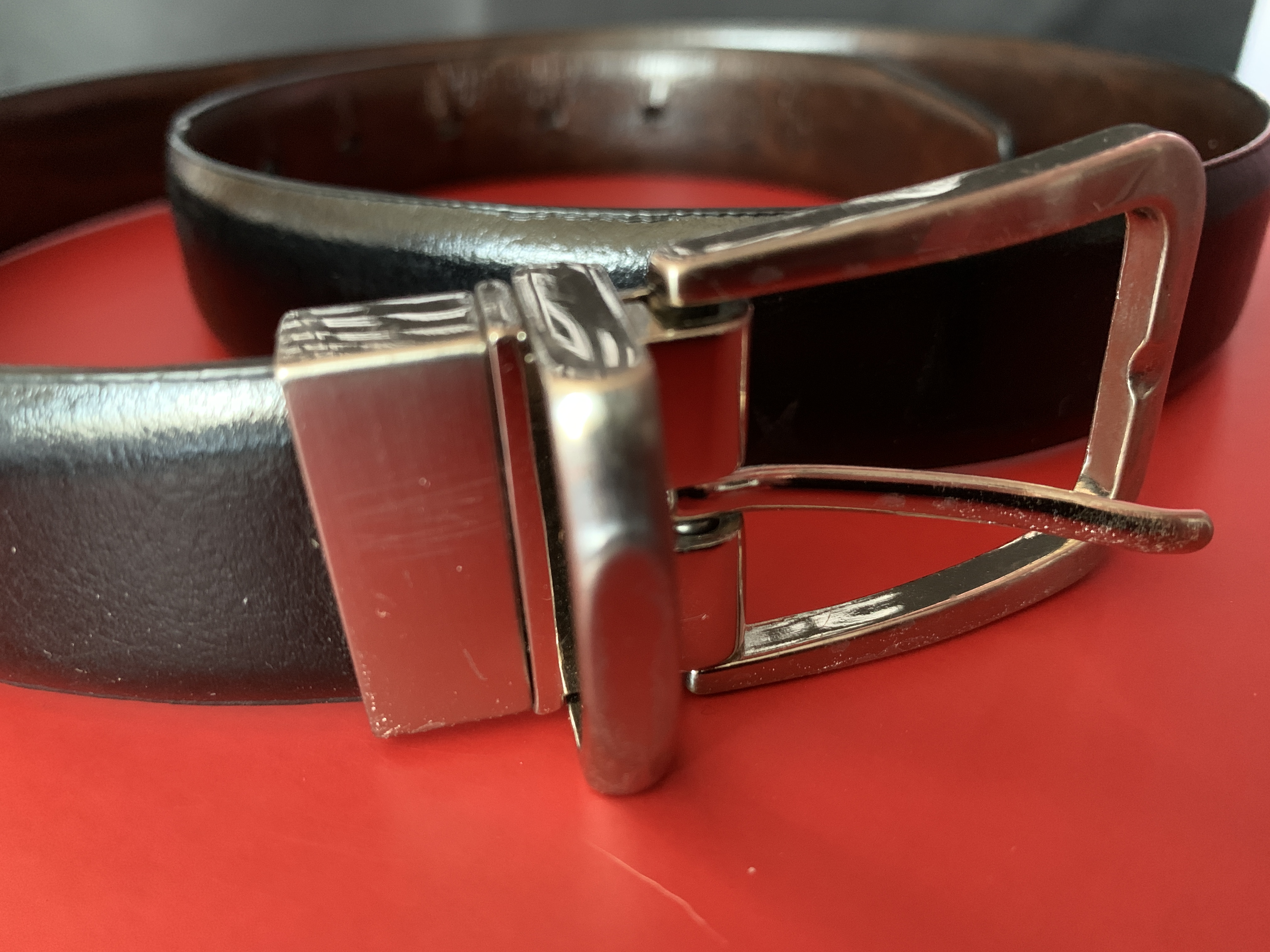 Various Seasons: Warbler Belt.